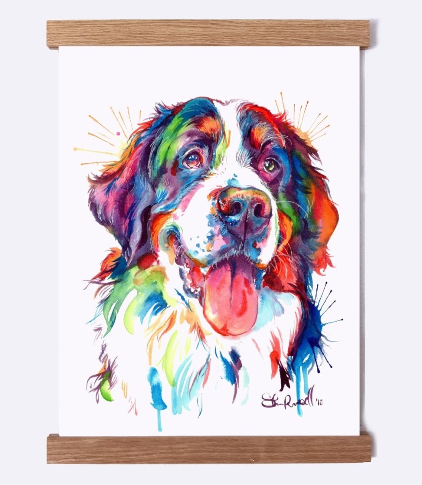 Bernese Mountain Dog - Watercolor Print - Shaunna Russell