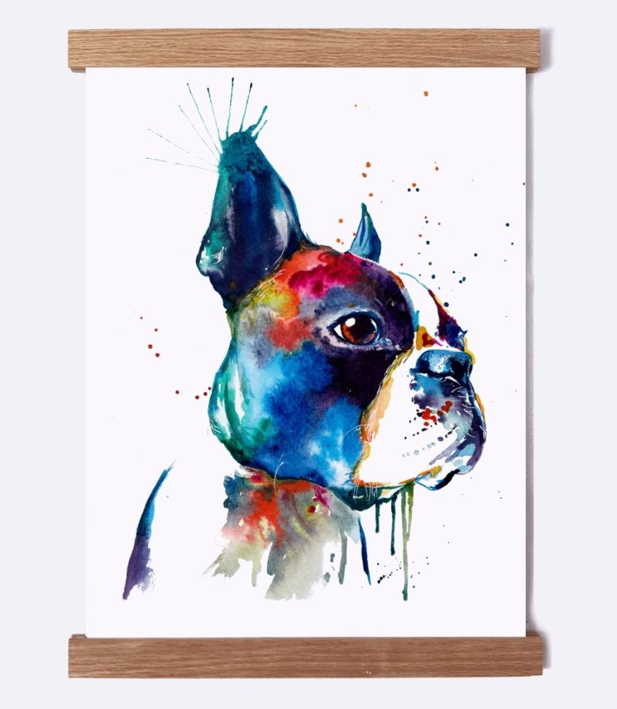 Boston Terrier - Watercolor Print - Shaunna Russell