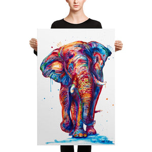 Elephant on Canvas - Shaunna Russell