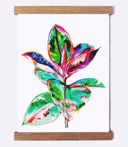 Ficus Elastica Plant Art - Watercolor Print - Shaunna Russell