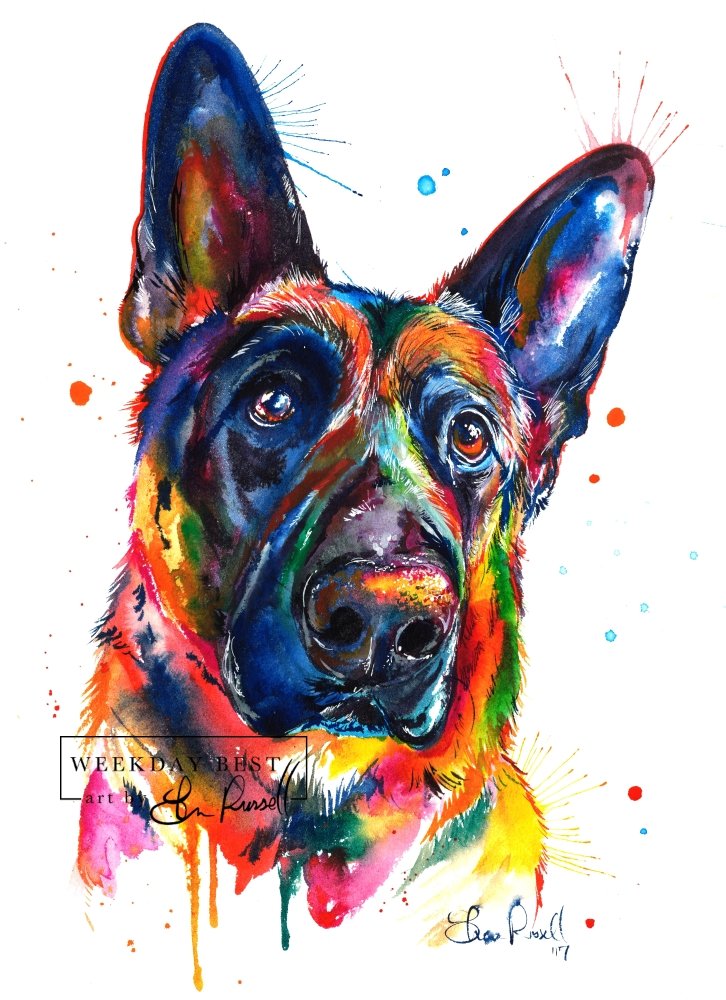 German Shepherd - Watercolor Print - Shaunna Russell