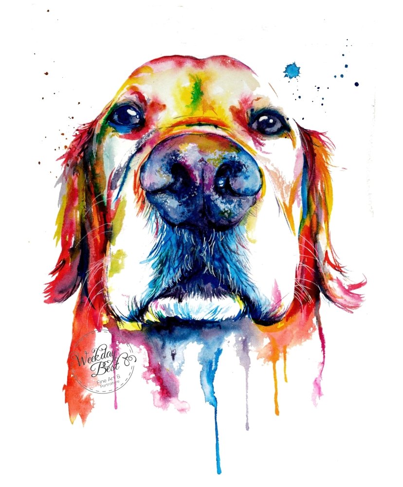 Golden Retriever - Watercolor Print - Shaunna Russell