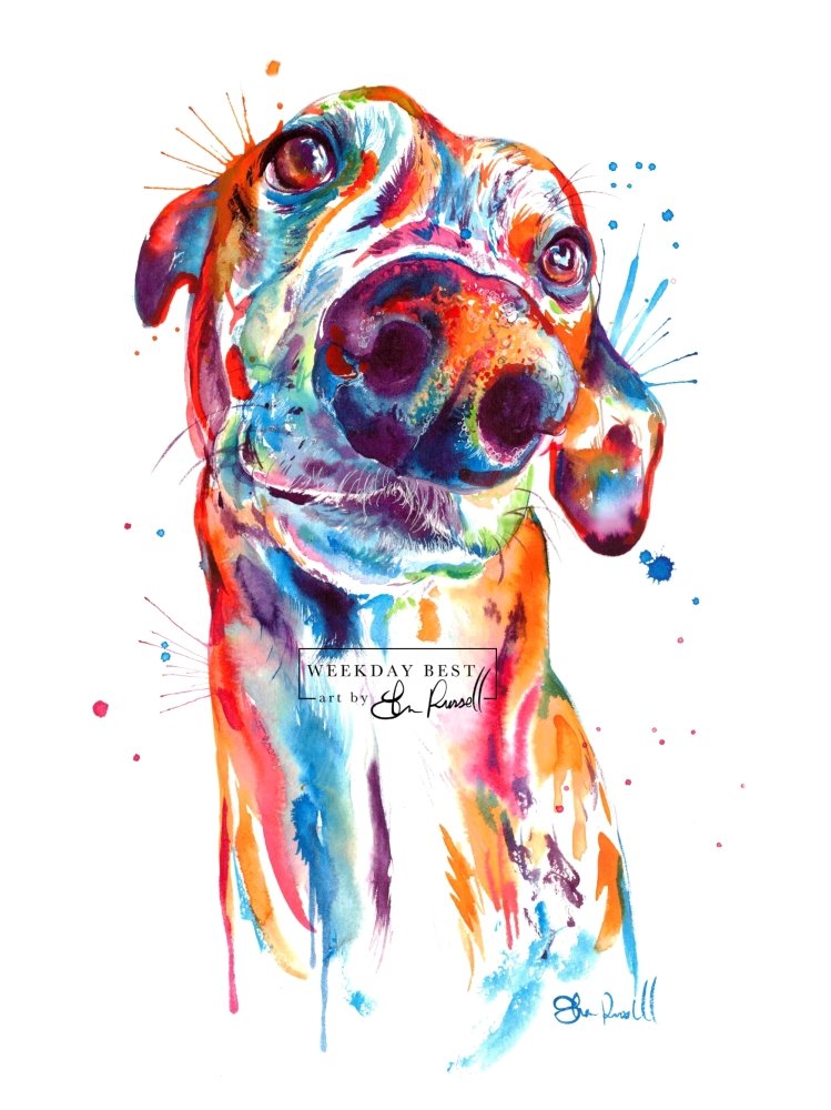 Greyhound - Watercolor Print - Shaunna Russell