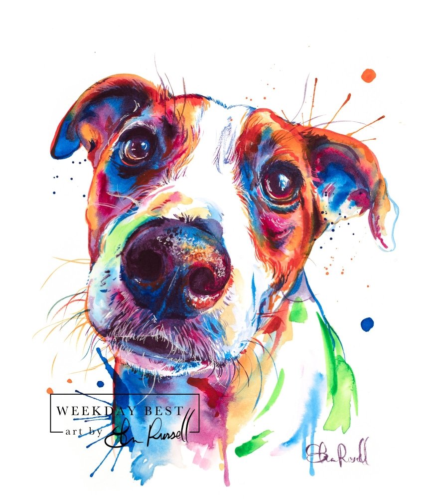 Jack Russell Terrier - Watercolor Print - Shaunna Russell