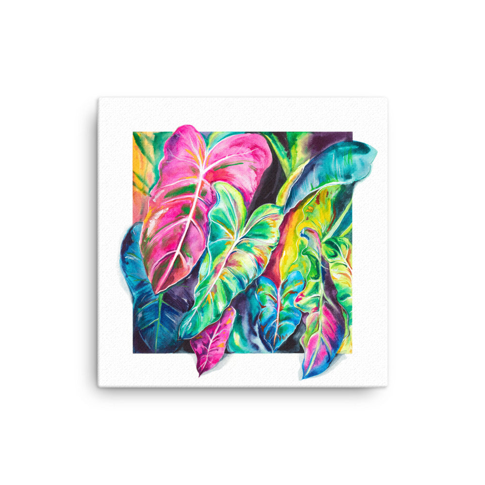 Elephant Ear Plant Watercolor Canvas Print