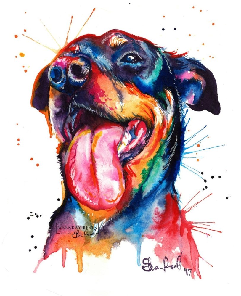 Rottweiler - Watercolor Print - Shaunna Russell