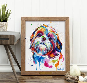 Shih Tzu - Watercolor Print