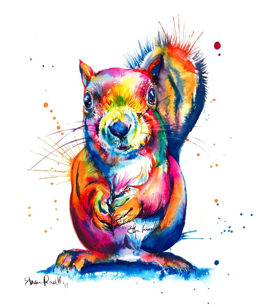 squirrel watercolor drawing