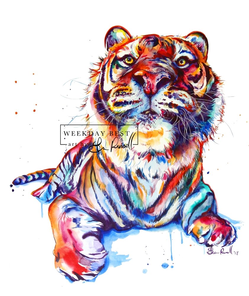Tiger - Watercolor Print - Shaunna Russell