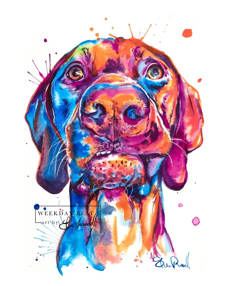 Vizsla - Watercolor Print - Shaunna Russell