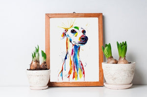 Whippet/Italian Greyhound - Watercolor Print - Shaunna Russell