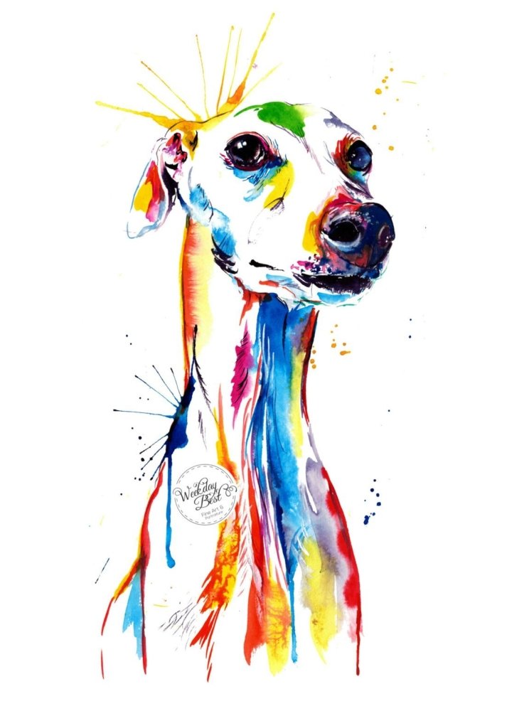 Whippet/Italian Greyhound - Watercolor Print - Shaunna Russell