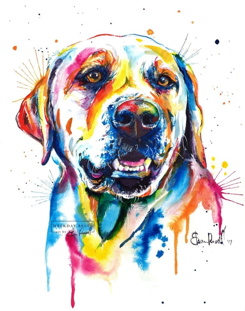 Yellow Lab #1 - Watercolor Print - Shaunna Russell