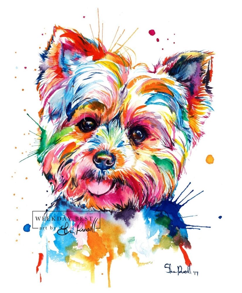 Yorkshire Terrier aka The Yorkie - Watercolor Print - Shaunna Russell